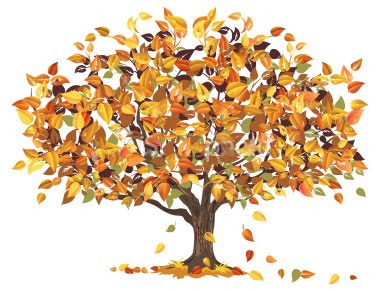 iNature-autumn-tree.jpg