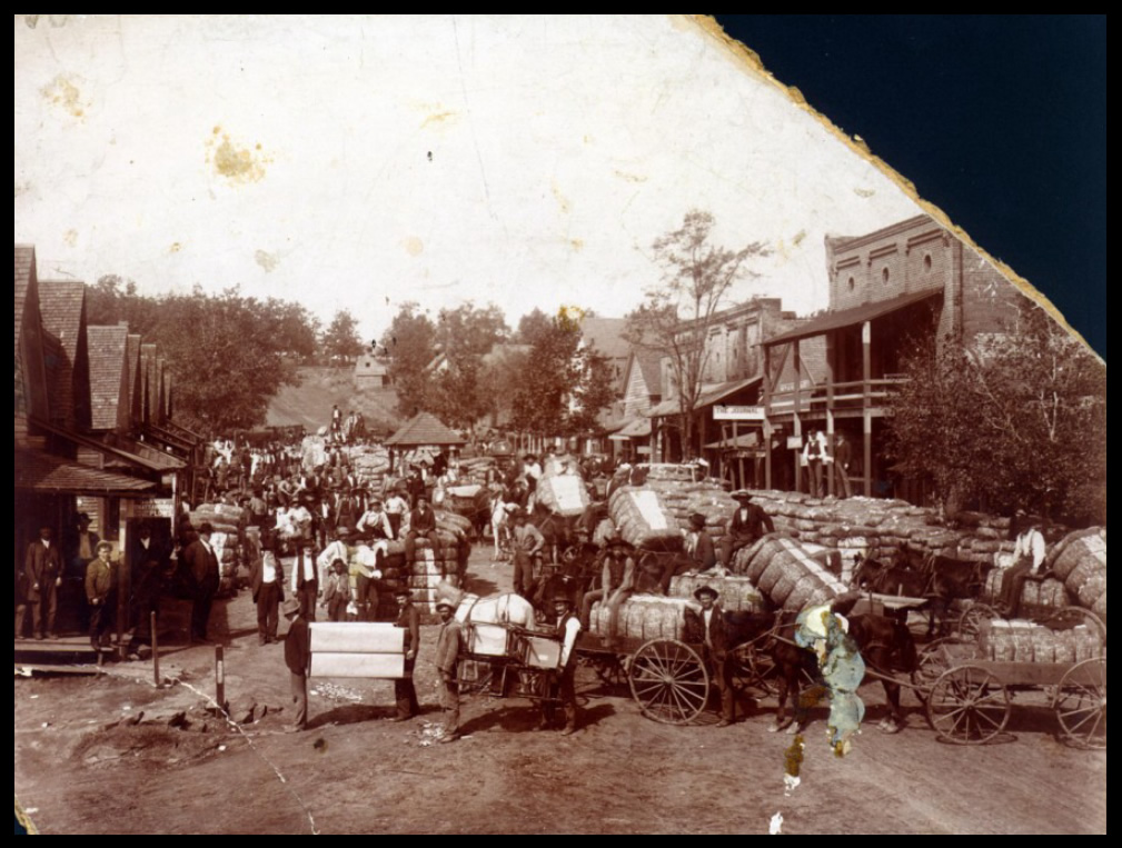 Flowery Branch Cherokee Bluffs Park PREVIEW TOUR, Flowery Branch