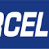 Aircel: India Wireless Telecom – 2013