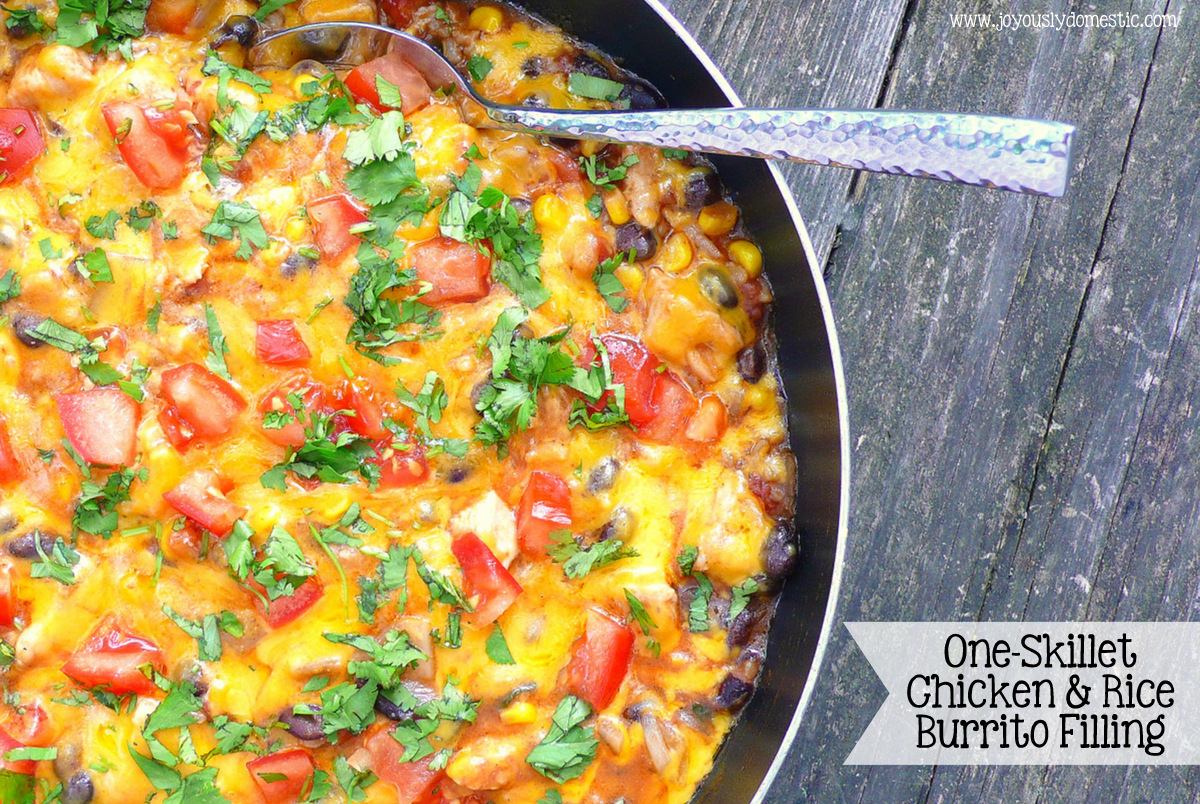 Joyously Domestic OneSkillet Chicken & Rice Burrito Filling