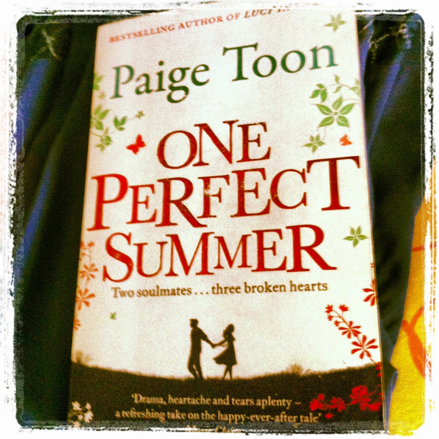 Get e-book One perfect summer novel For Free