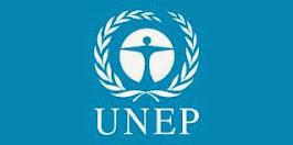 UNITED NATIONS ENVIRONMENT PROGRAMME