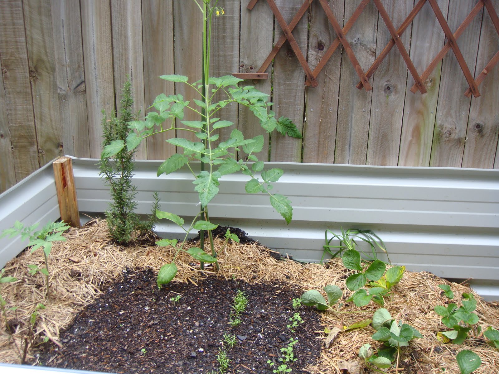 Piecemeal Projects Colorbond garden beds