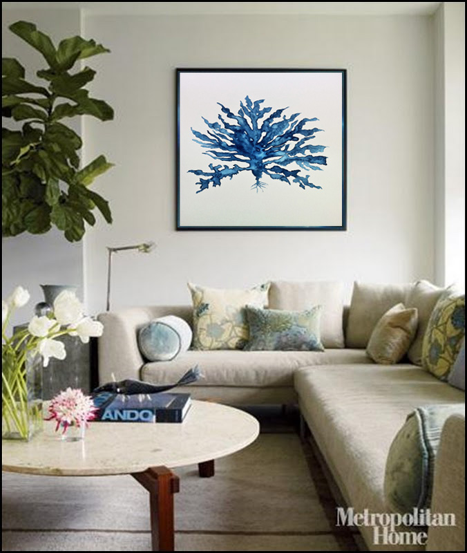 Driftwood Interiors: February 2011