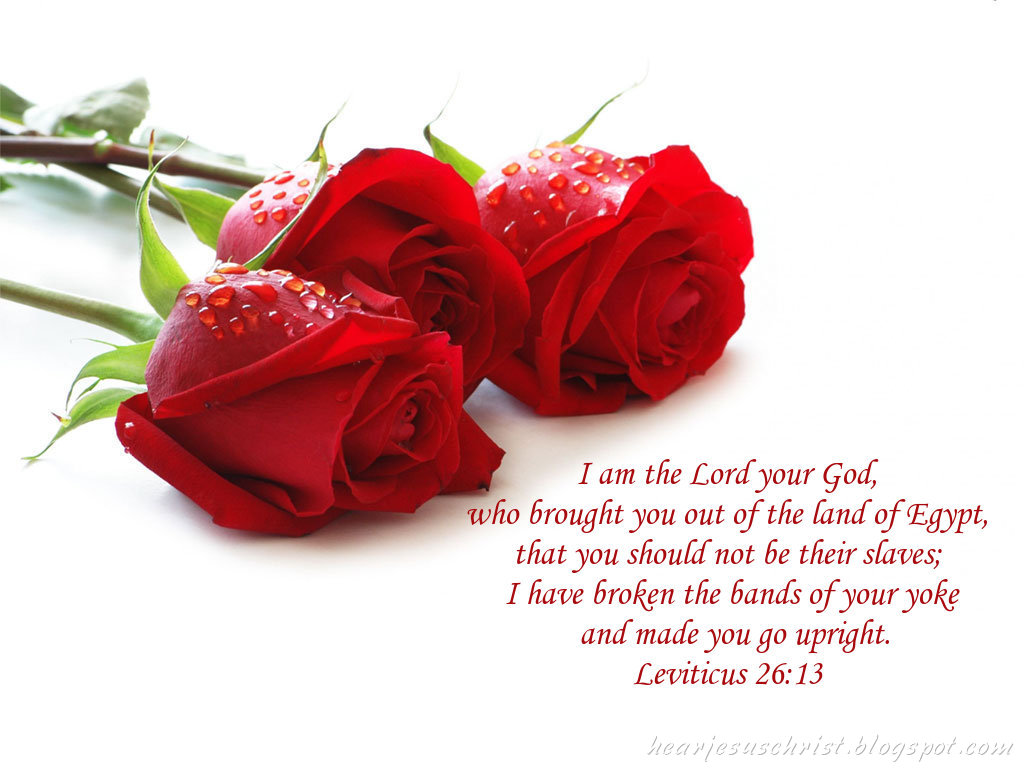 Christian Wallpapers Bible Verse Wallpaper Leviticus 2613