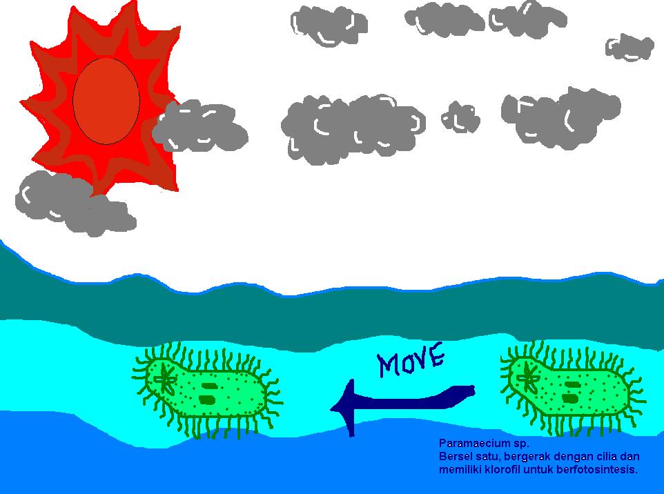 M.Y. mine GERAK PADA TUMBUHAN