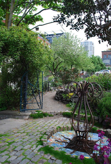 Seattle Garden Ideas Viburnums