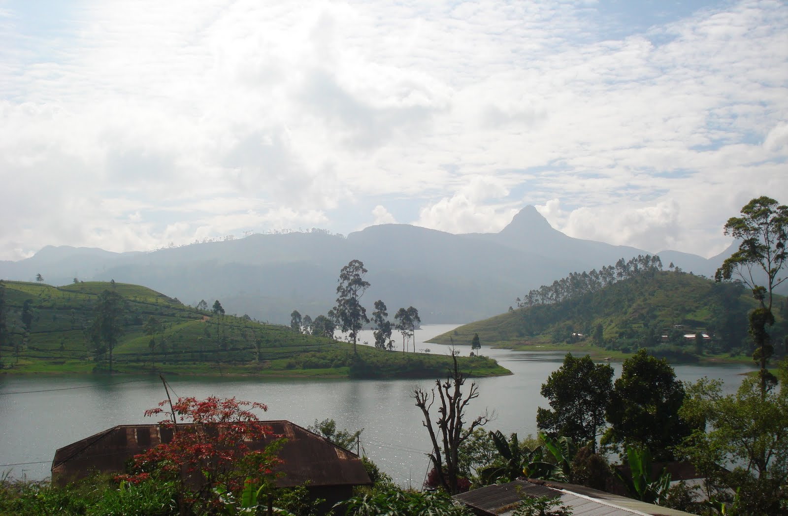 The Sacred Mountain of Sri Pada ~ Great Mountain