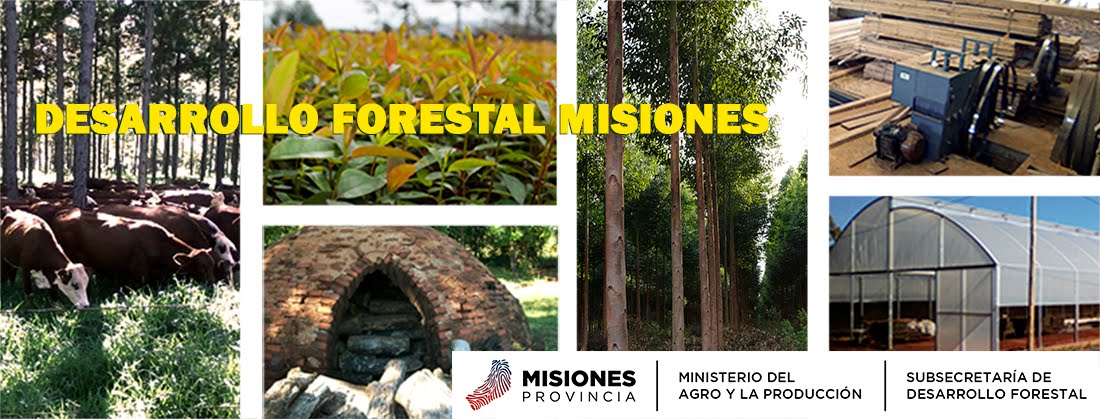 Desarollo Forestal Misiones