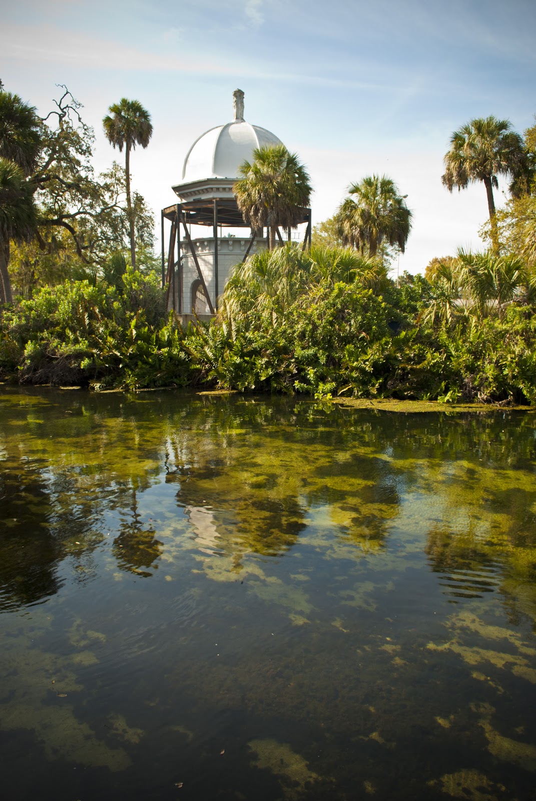 Old Florida Tampa's historic urban springs
