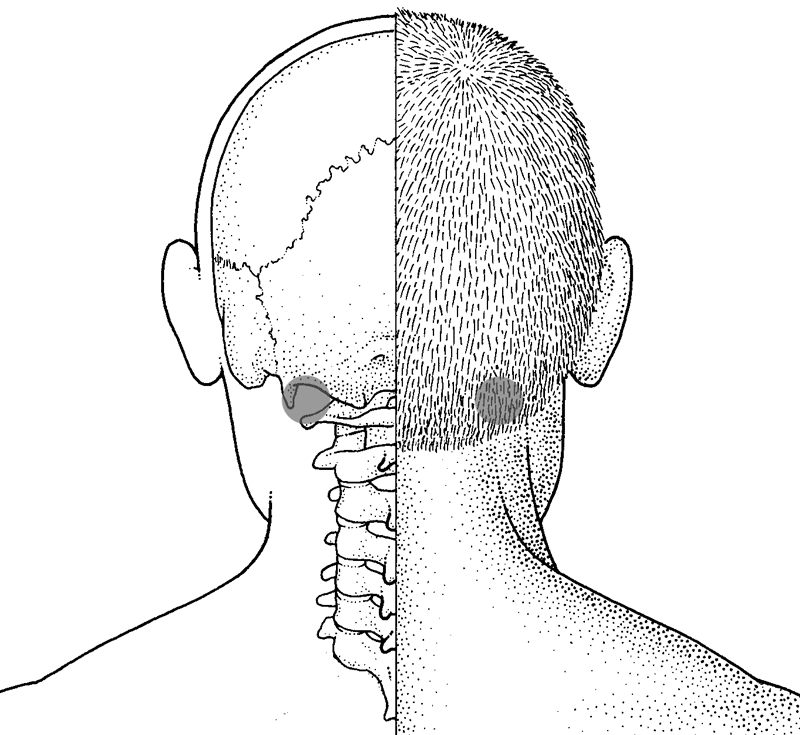 Massage These Pressure Points To Relieve Stress Neatorama