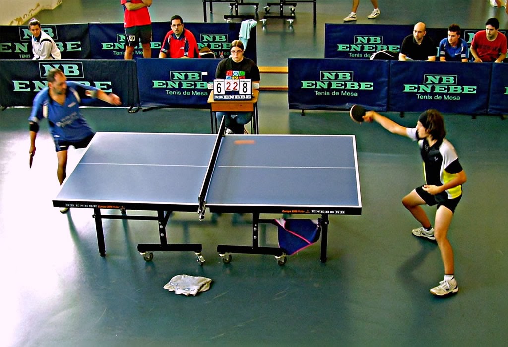 remedioef PingPong; Nicoleta Lan