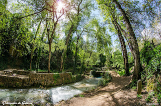 Paraje de Las Chorreras Paraje de Las Chorreras
