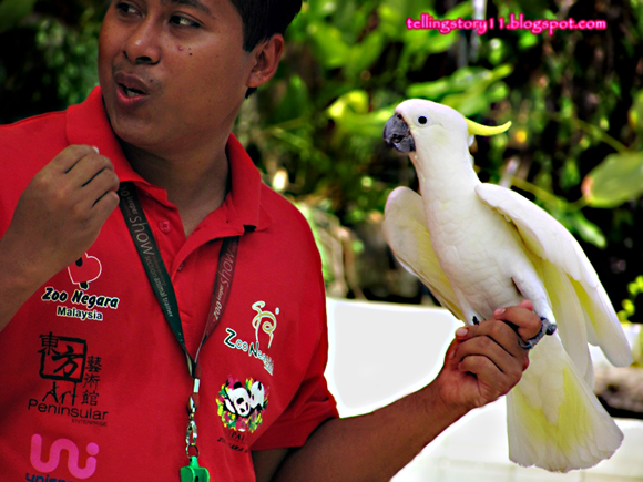 Telling Story With Sha Nazri