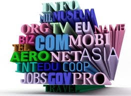 Hosting Domain