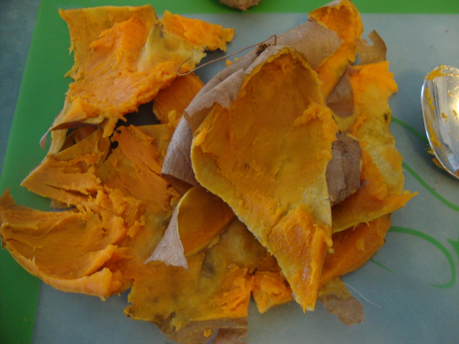 A Busy Mom's Slow Cooker Adventures Using Your Slow Cooker to Make