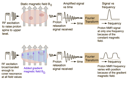 science varia how mri and nuclear magnetic resonance nmr nmr how it works