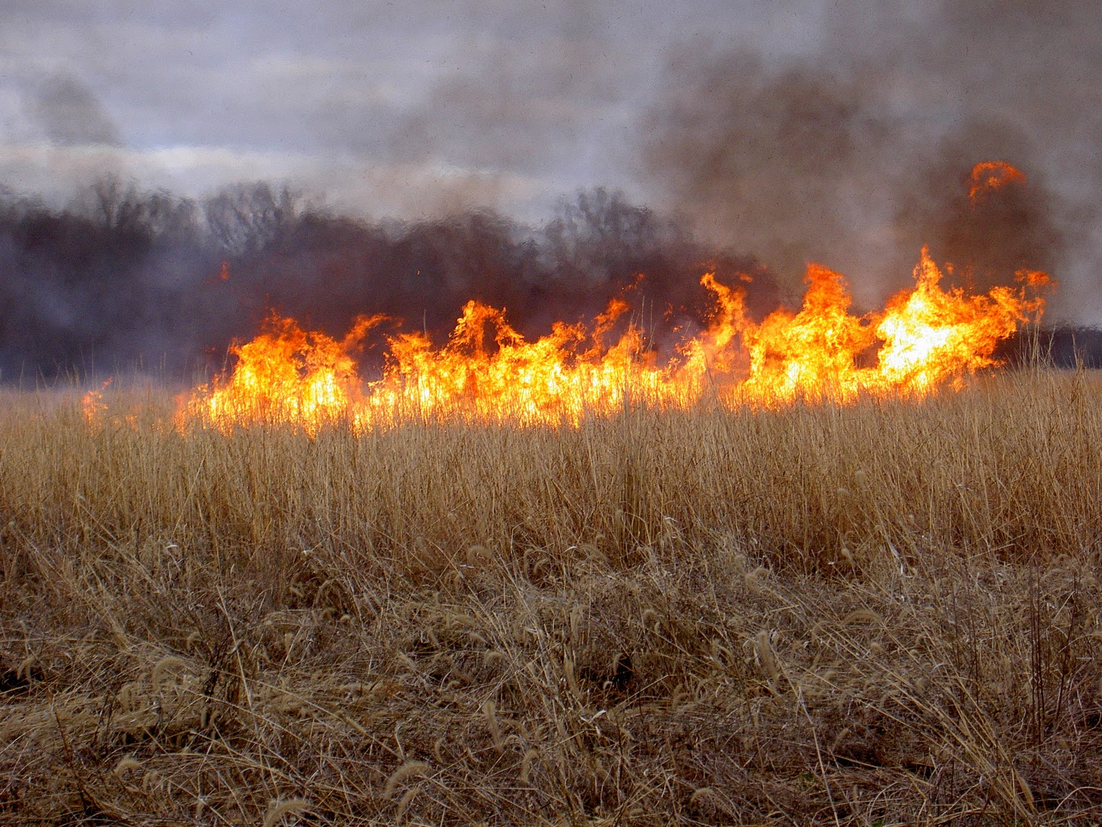 Peace Weaving, Peace Fasting, And Peace Poetry September 2011