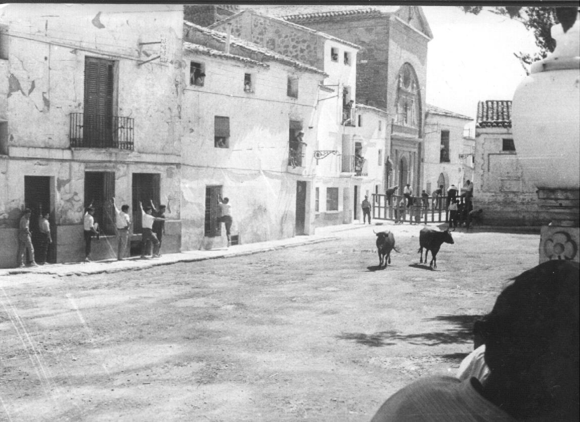 Los toros con Paco Martínez Pina de Ebro y sus festejos populares