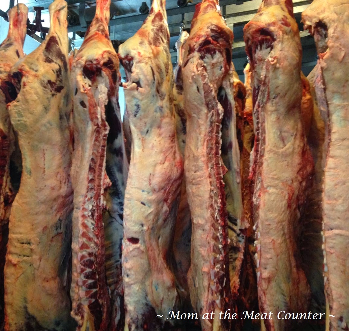mom at the meat counter ten things you didn t know about mom at the meat counter ten things you didn t know about