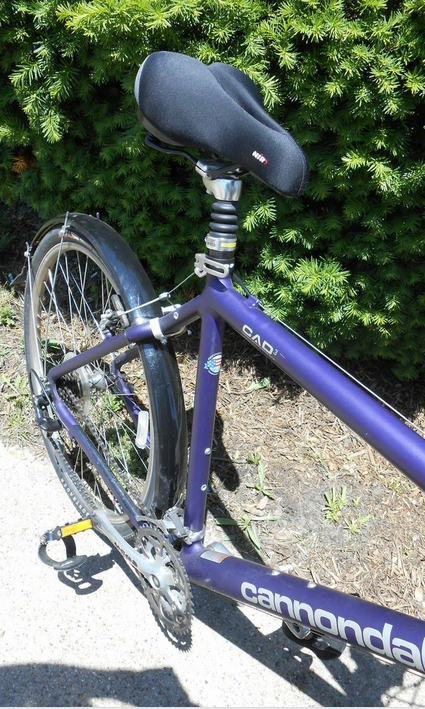 cannondale m500 purple