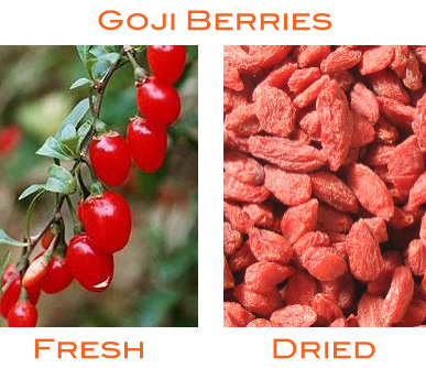 Buah Goji