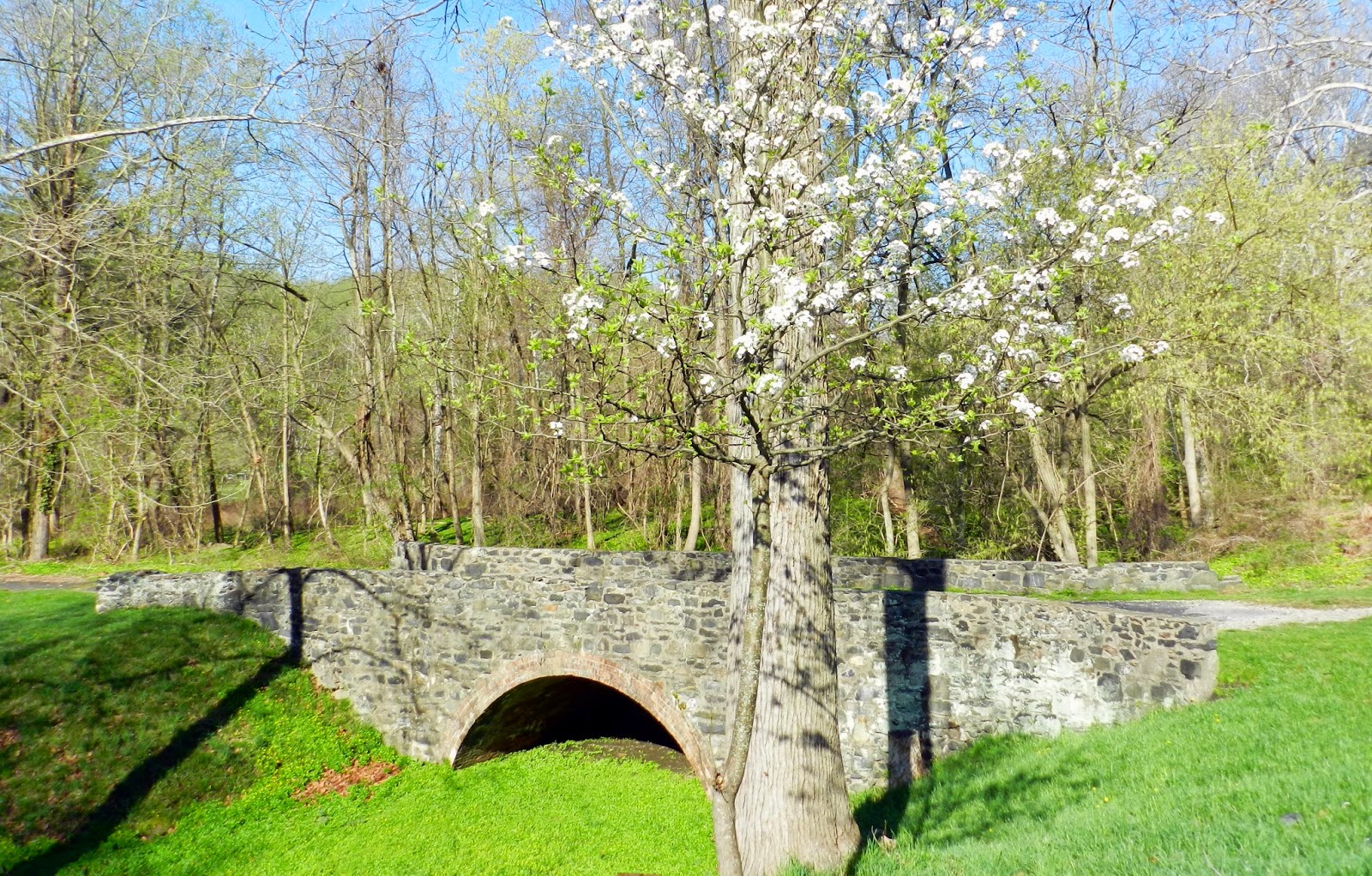 MidAtlantic DayTrips: A Walk Through Time: Patapsco's Grist Mill Trail