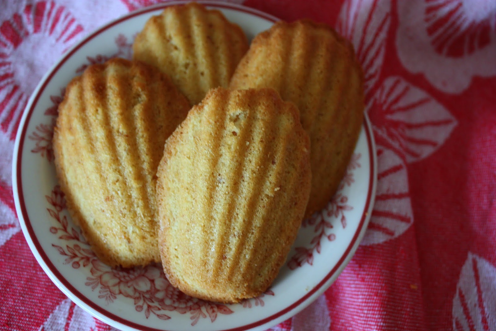 we eat. happy. coconut & almond madeleine cookies.