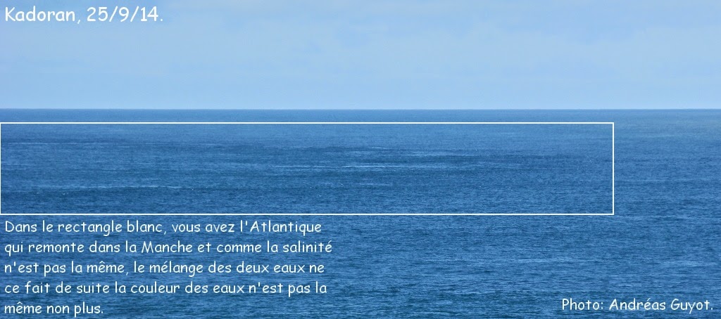 provoquer une rencontre