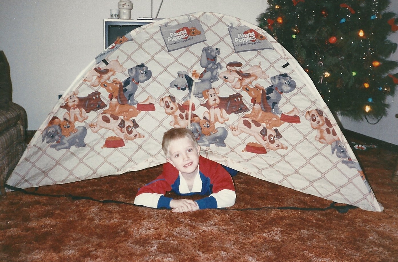 Times Remembered Pound Puppies Pop Up Tent