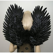 Fashion Wings