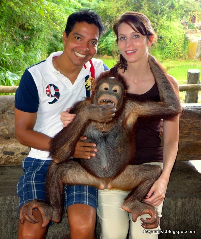 Animal Encounters bali safari and marine park