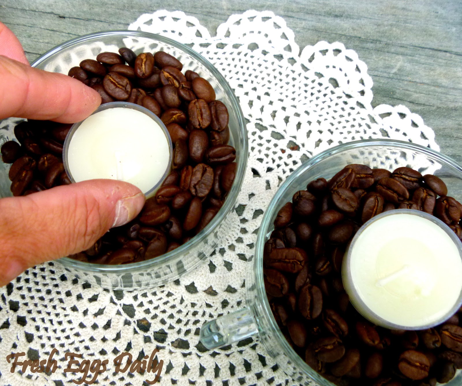 Coffee Bean Candle Holders Fresh Eggs Daily®