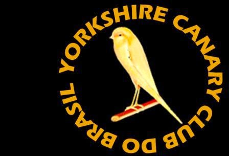 Yorkshire Canary Club do Brasil