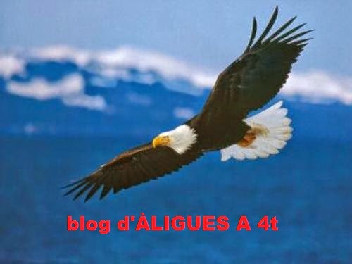 blog d'ÀLIGUES A 4t