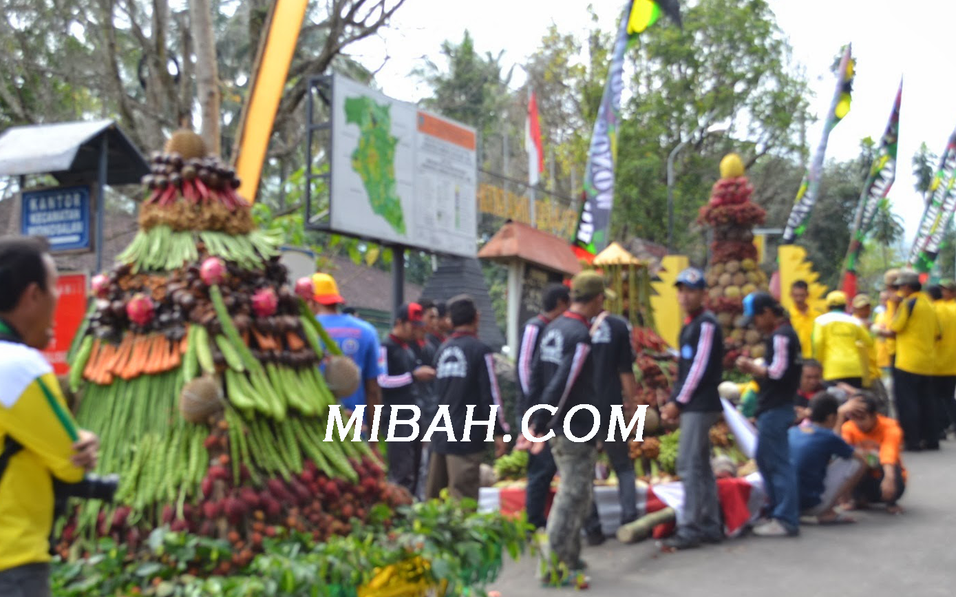 gambar Pesta durian wonosalam gambar Pesta durian wonosalam