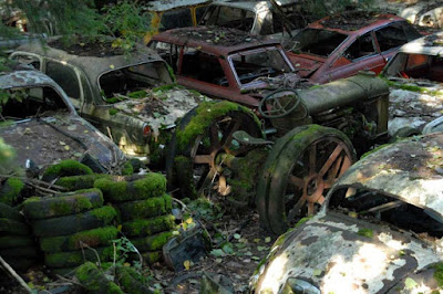 carros antigos abandonados em fazendas