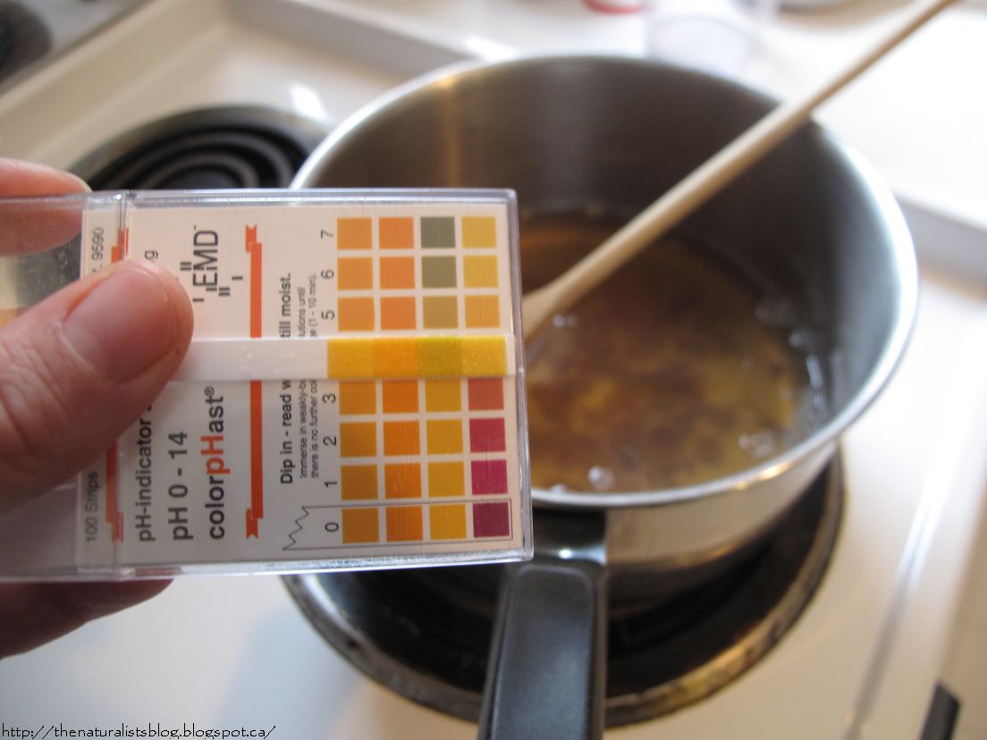 The Nat·u·ral·ist Soap Nuts