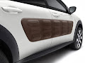 C4 Cactus