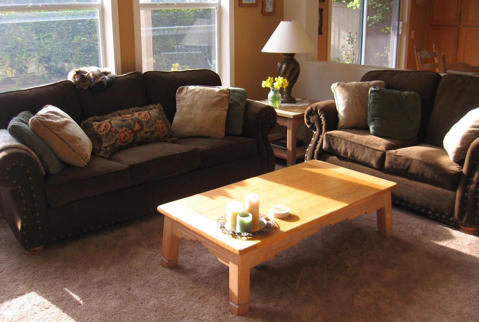 Always Learning My Brand New Couches