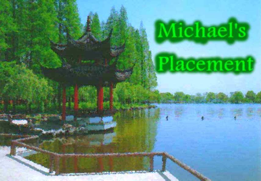 Michael's Placement