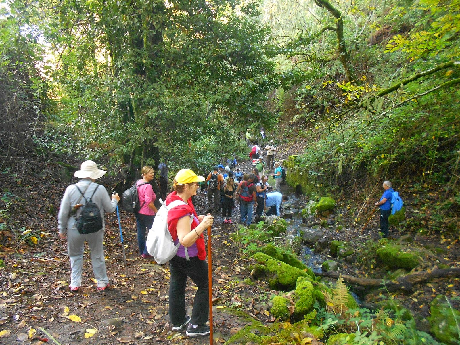 Actividades noviembre