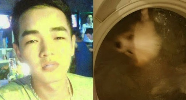 Kejam, Mandikan Anjing Dimesin Cuci