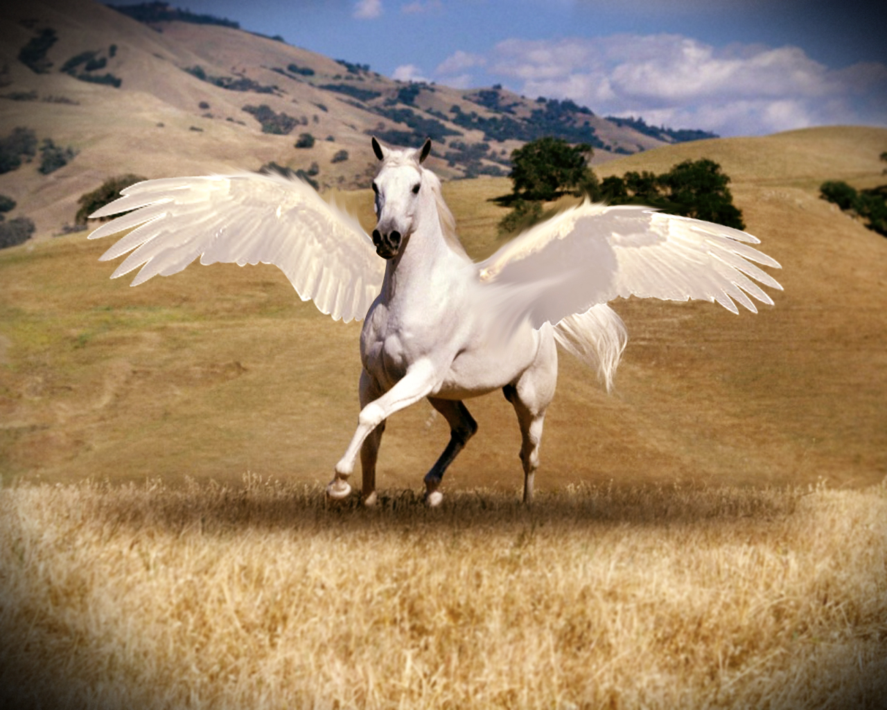 Avatar: The Last Airbender TV Series 20032008 - IMDb