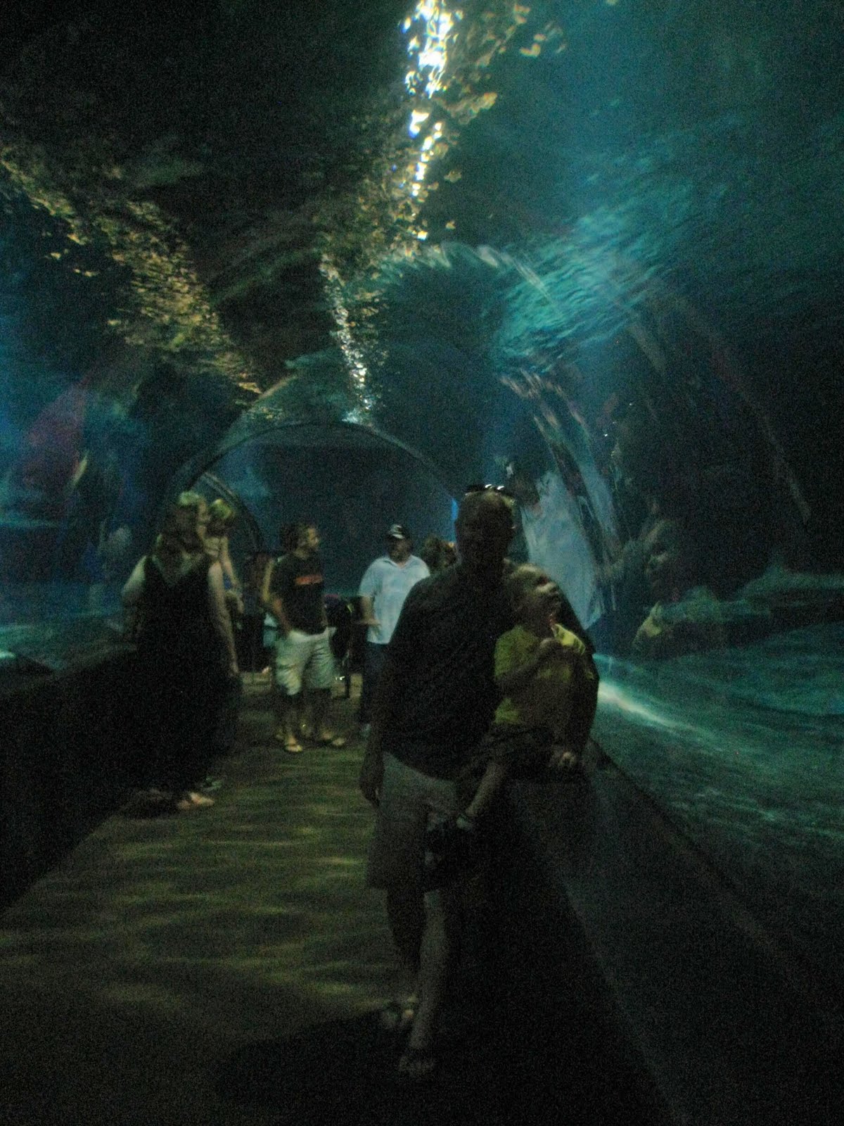 C3's Adventures Oklahoma Aquarium