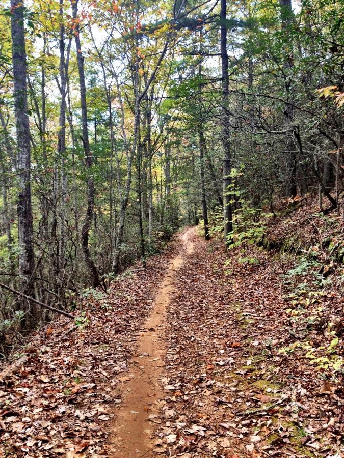 Greg Rides Trails Bent Creek Trail System, Asheville, North Carolina