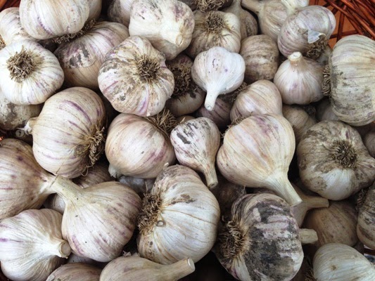 Loose garlic available at The Perth Farmers Market