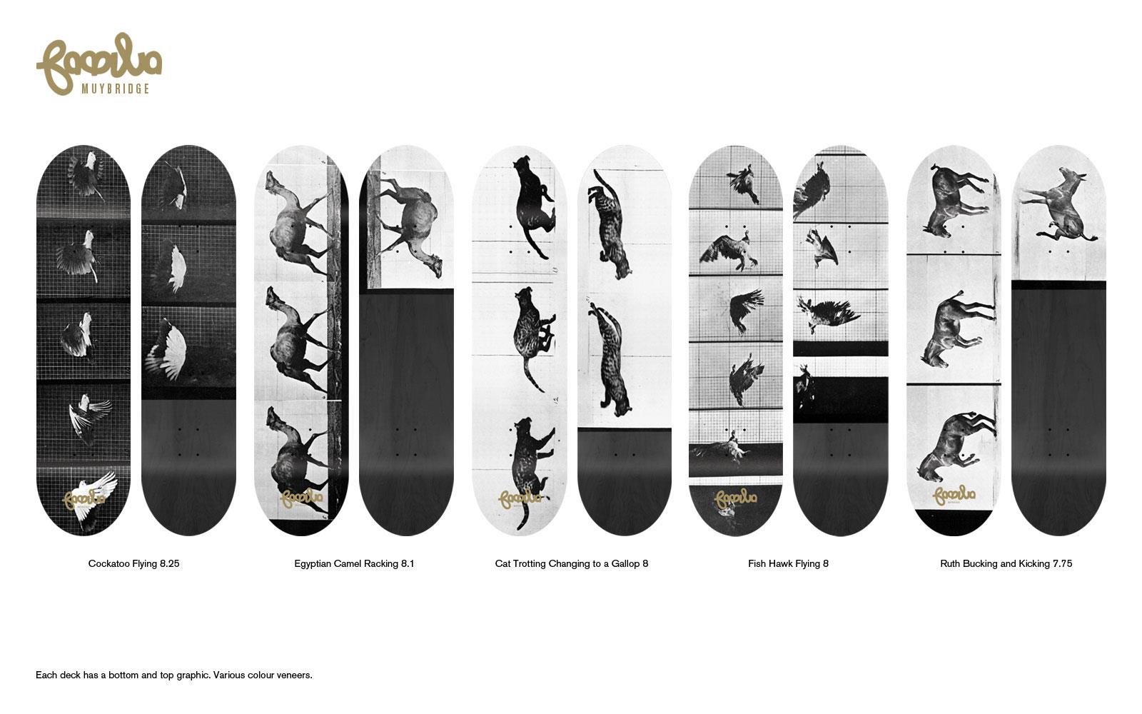 Cape Town Skateboarding Skate Park cape Town