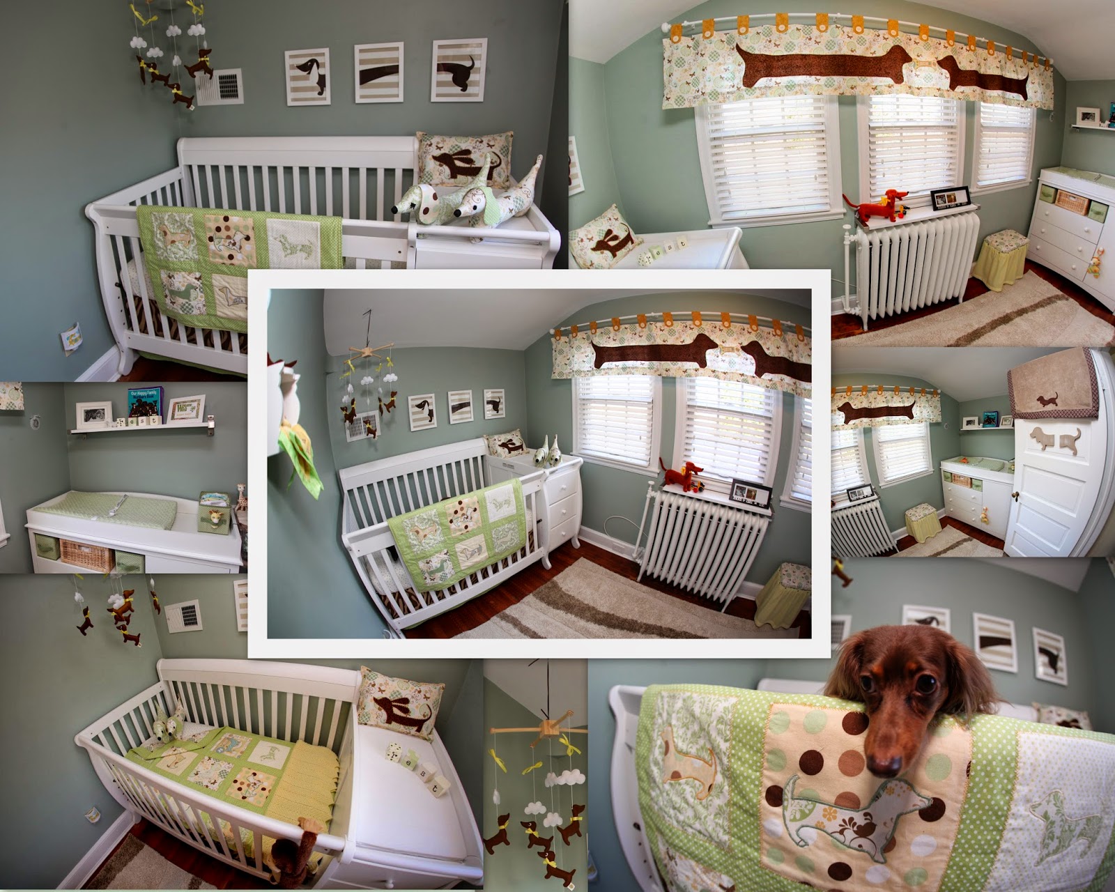Sweet Sir Isaac Costco Nursery Contest Update For Record S Sake The Essay And Photo We Submitted Are Below