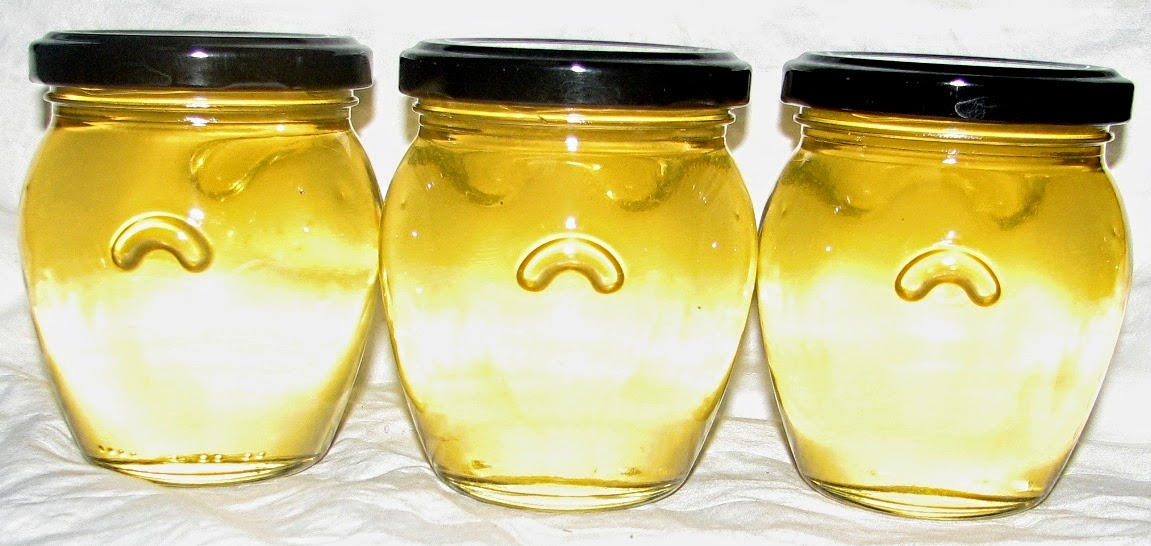 FOOD PRESERVING White Wine Jelly